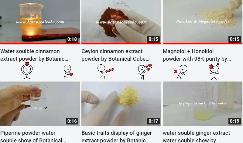 Nasza kolekcja wyświetlaczy produktów rozpuszczalnych w wodzie