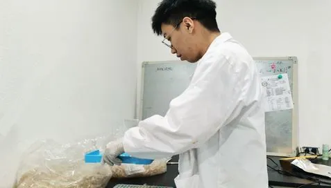 Nasze opakowanie na kapsułki z ekstraktem w proszku