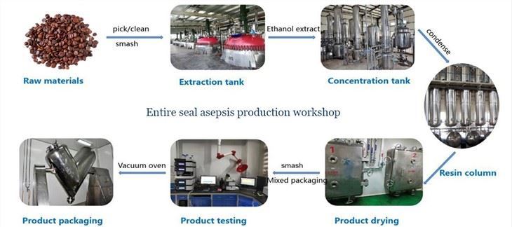 Product process of Wild Jujube Extract by Botanical Cube Inc.