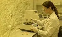Dlaczego Fisetin jest liderem Senolityków w 2026 r.?