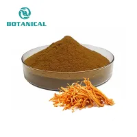 Proszek z ekstraktu Cordyceps Militaris