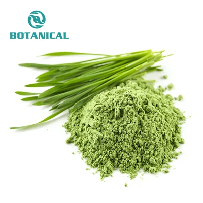 Organiczna trawa pszenicy (sok) proszek
